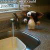 icebucket_gremlin