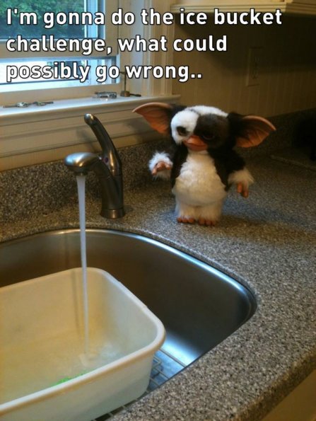 icebucket_gremlin